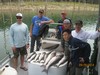 (09/28/2014) - Nice Striped Bass